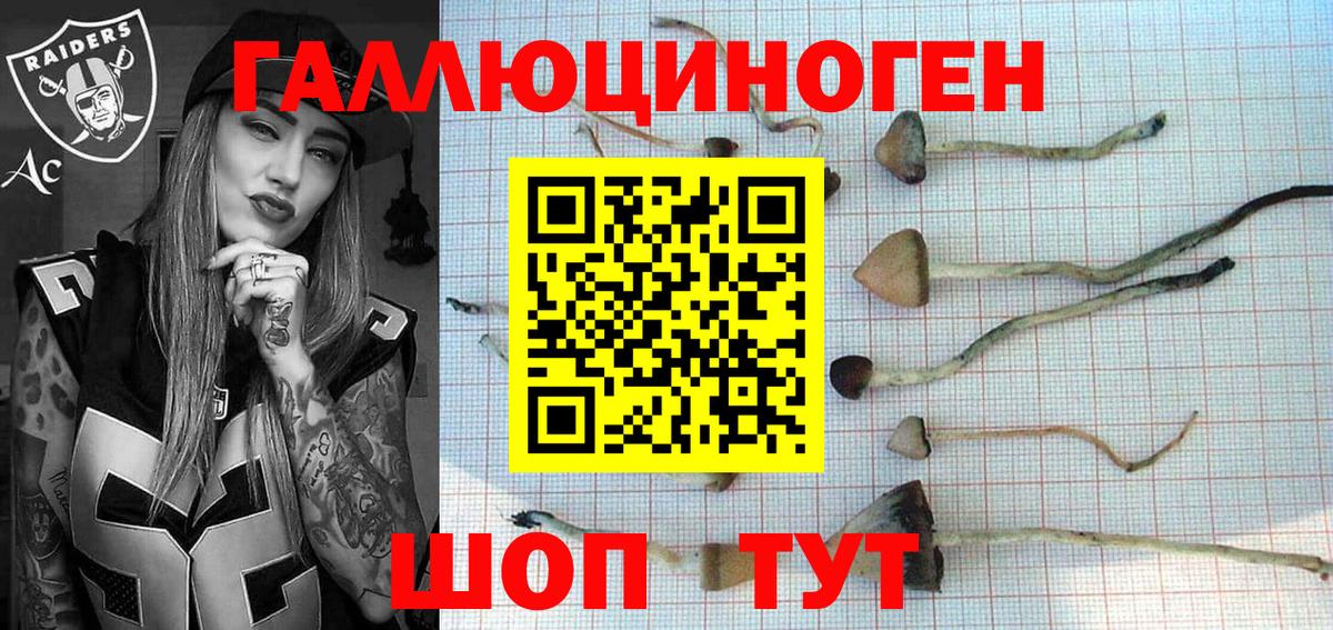 Псилоцибиновые грибы мицелий Нягань