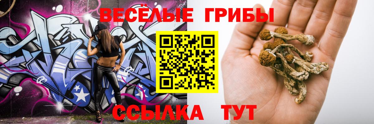 Нягань  Псилоцибиновые грибы мухоморы  Вход с VPN 